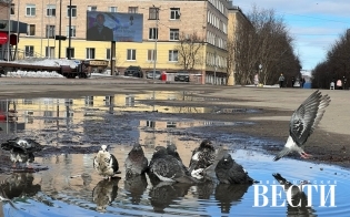 ������� ������ �� 11 ������