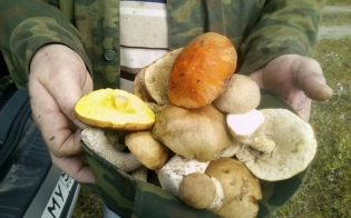 �� �����