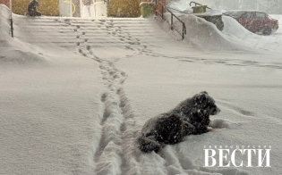 ������� ������ �� 1 �����