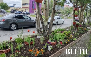 ������� ������ �� 7 ����