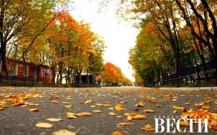 ����������, �����!