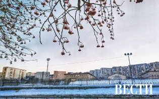 ������� ������ �� 21 �����