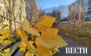 ������� ������ �� 18 �������