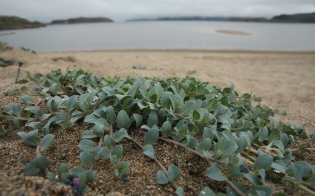 ���������-2022