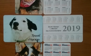 ������ ����������