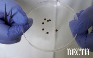 ���������� ������