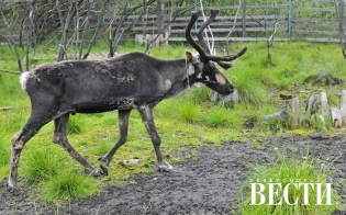 ��� ���������� � ������ � ���������� �����