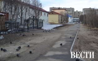 �������� �� ���������������