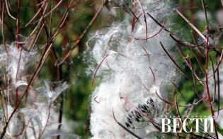 ������� ������ �� 17 �������