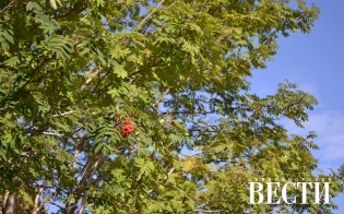 ������� ������ �� 26 ��������