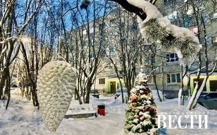 ������� ������ �� 6 ������