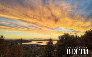 ������� ������ �� 29 �������