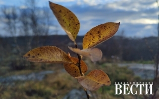 ������� ������ �� 26 �������