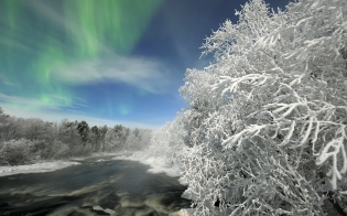 ������� ������ �� 20 �������