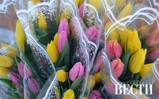 ������� ������ �� 8 �����