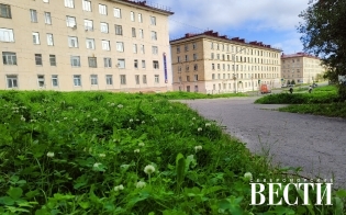 ������� ������ �� 31 �������