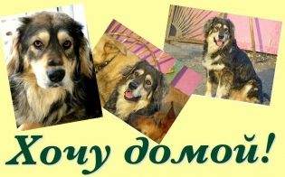 ��������� ����������� � �������