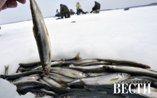 ��������� ������������ �� ���������� ���� ����