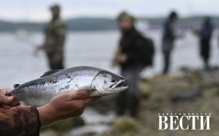 ����� �������