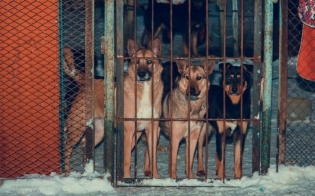 �� ����� ���� ������!