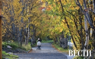 ������� ������ �� 30 ��������