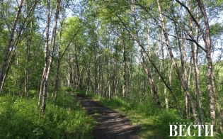 ��������� ���������� � ������������� ���������� ������ �������� ������������