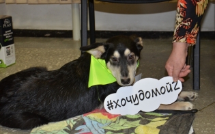 � ��������� ������� �������� �������� �� �������