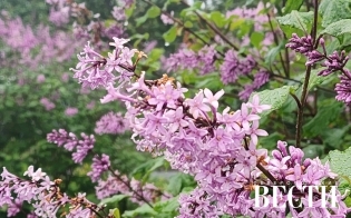 ������� ������ �� 10 ����