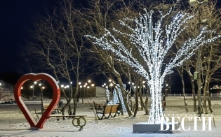 ������� ������ �� 28 �������