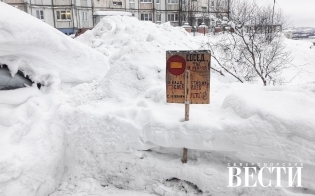 ������� ������ �� 7 �����