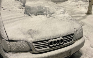 ������������� �������� ����