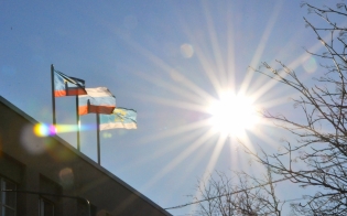 ������� ������ �� 8 ������ 