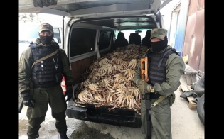 ���� � ��������� ������