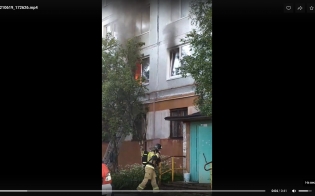 ������ ������