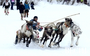 ������� �� �������� � ��������