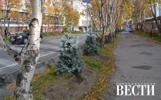 ������ �������� ������� � ������