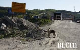 �������� ������ �� ��������