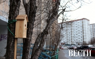 ������� ������ �� 27 ������