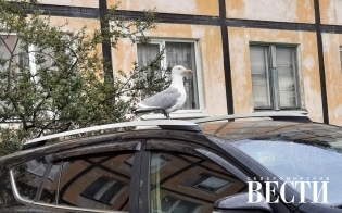 Прогноз погоды на 2 августа