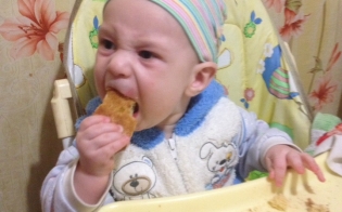 ������ ���������