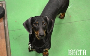 ������� ���� ������������