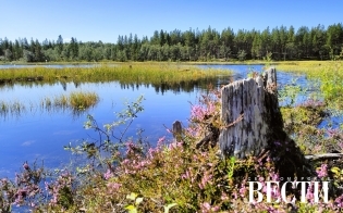 ������� ������ �� 10 �������