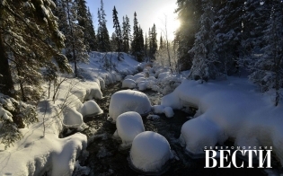 ����������� �������� ������������ �����������