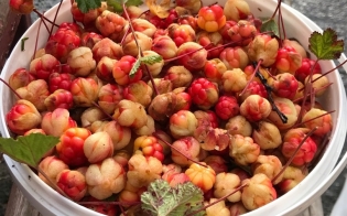 ������ �����