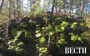 ������� ������ �� 18 ����