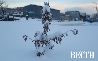 ������� ������ �� 18 �������