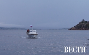 ����������� � ����-����