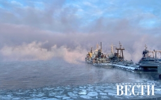 ������� ������ �� 20 �������