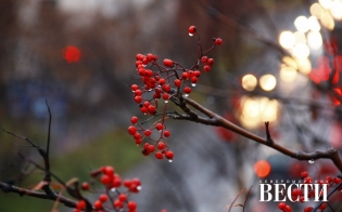 ������� ������ �� 17 ������