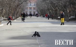 ������� ������ �� 20 ������